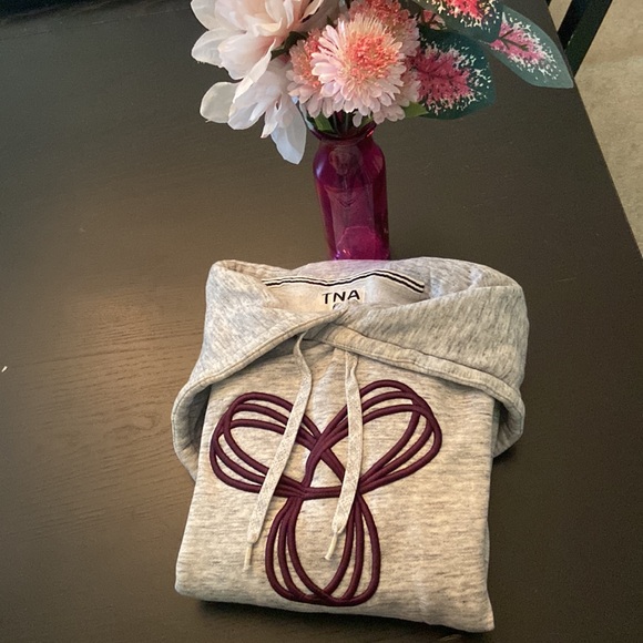 Small Grey TNA Hoodie - Picture 1 of 9